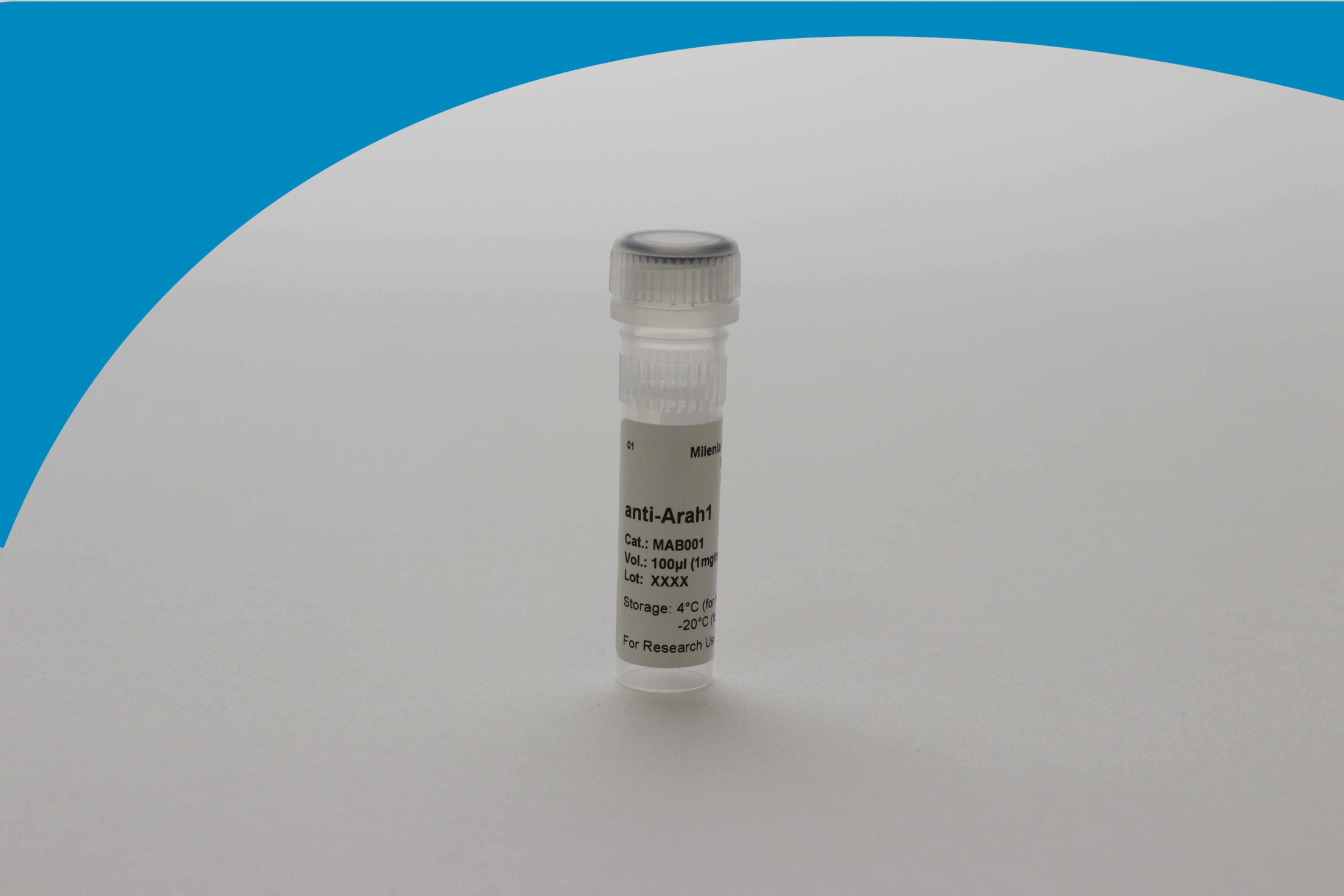 Ara h1 Antibody (21H2) – Milenia Biotec