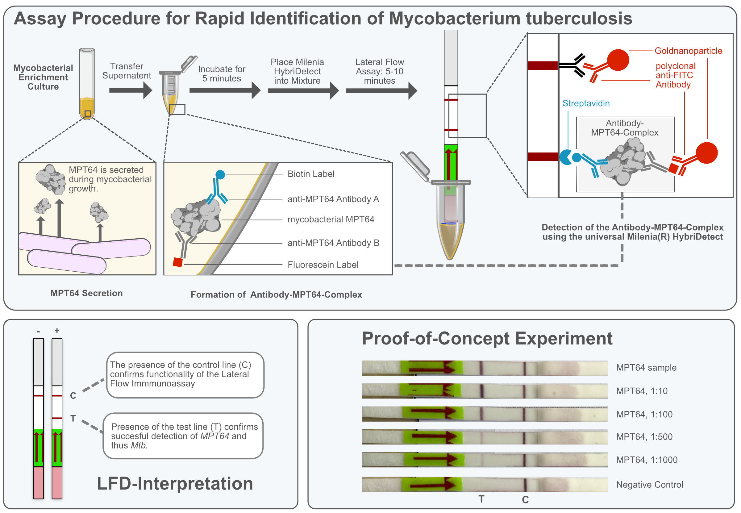 Innovative Tb Diagnostics Using Universal Lateral Flow 6752